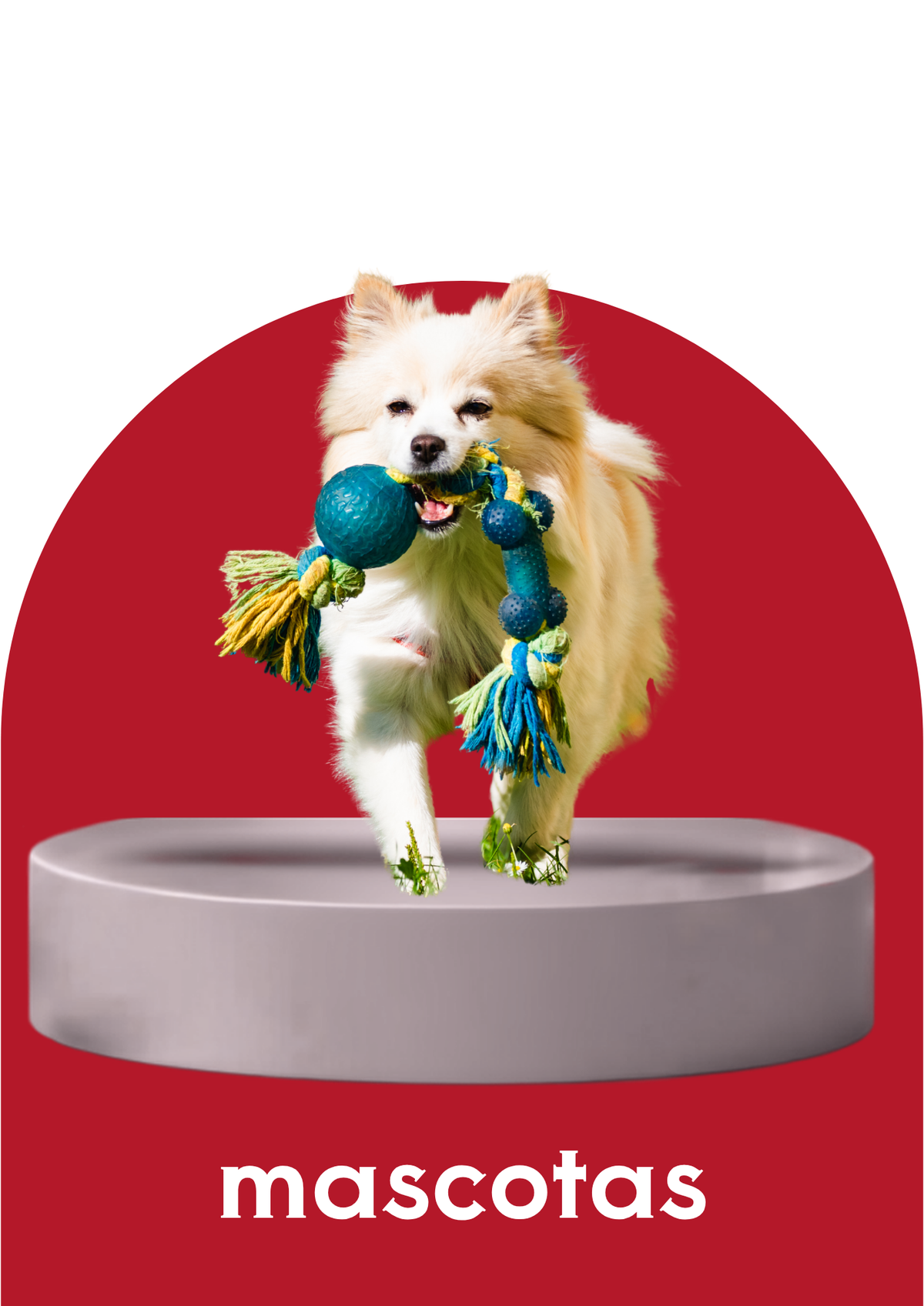 Mascotas